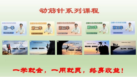 动筋针全部五季系列线上课程